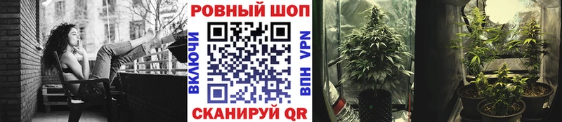 Где купить Бердск ГАШИШ Бошки Шишки АМФ Меф мяу мяу