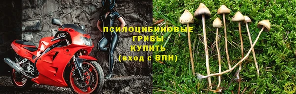 спиды Володарск