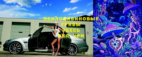 спиды Володарск