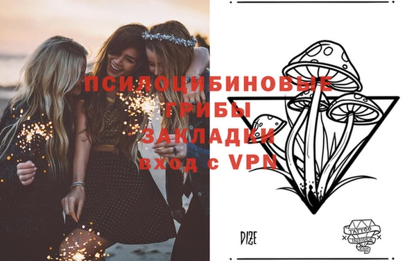 молекула духа Вязники