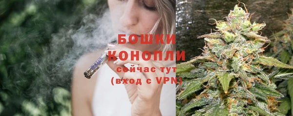 молекула духа Вязники
