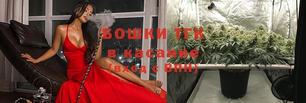 молекула духа Вязники
