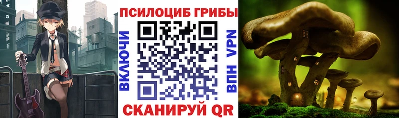 Галлюциногенные грибы GOLDEN TEACHER  наркота  Бердск 